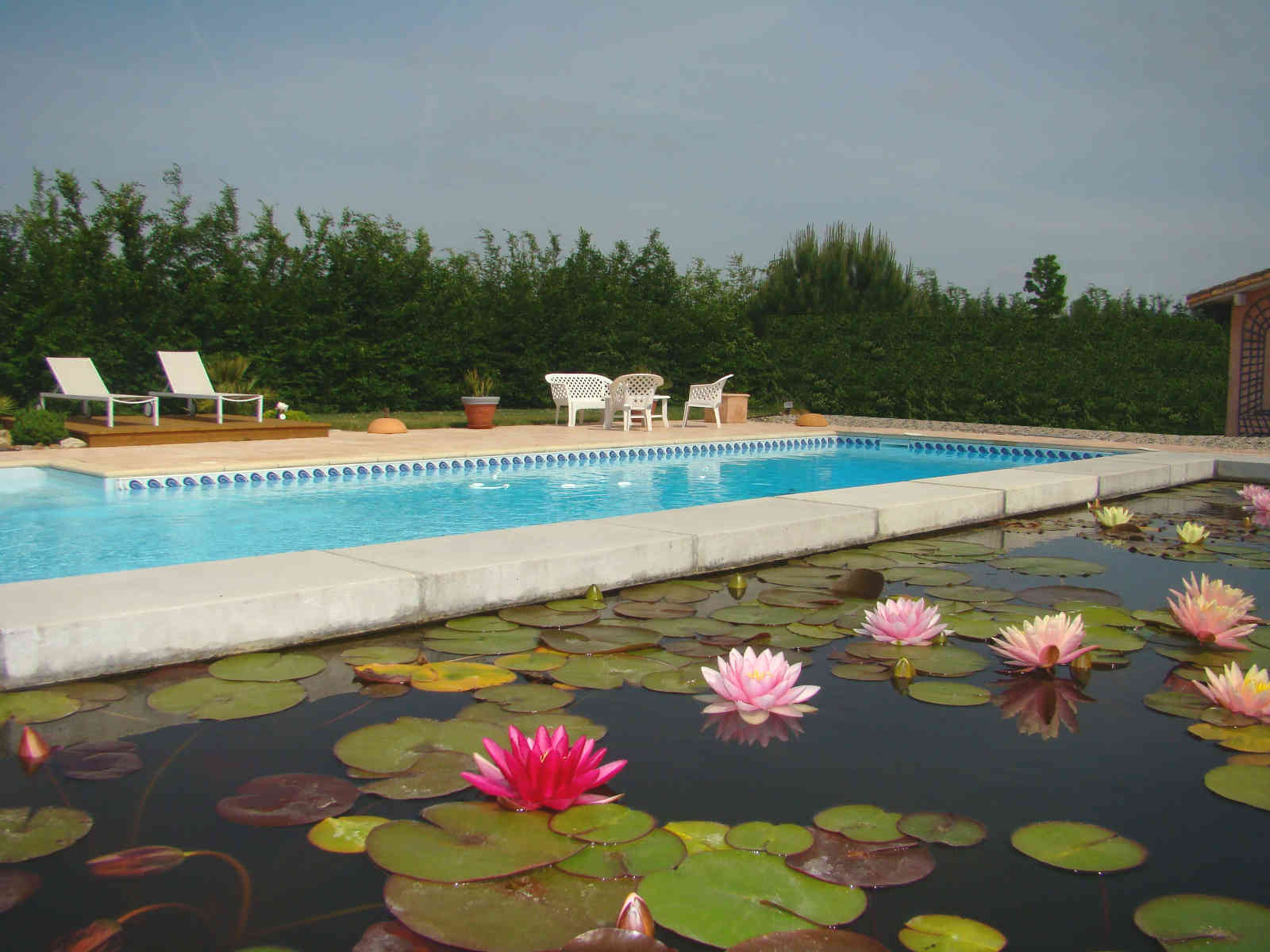 Bassin nénupahrs piscine chauffée